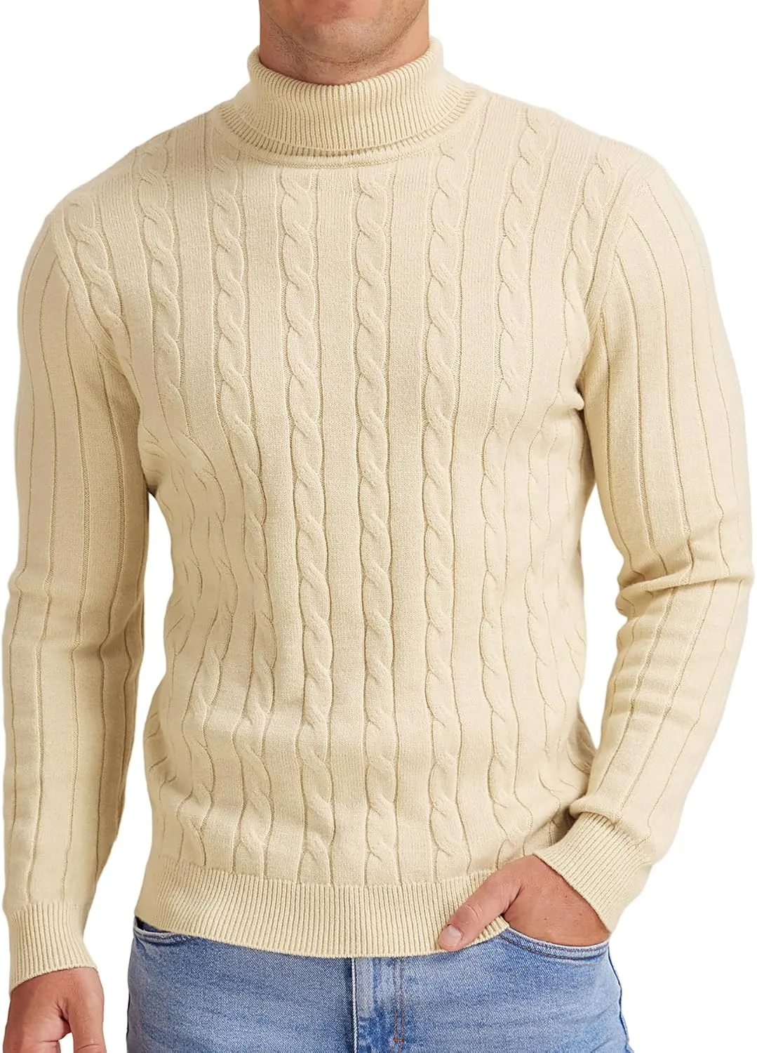 NITAGUT Men's Casual Turtleneck Sweaters Warm Twisted Pattern Knitted Slim Fit Pullover Sweater